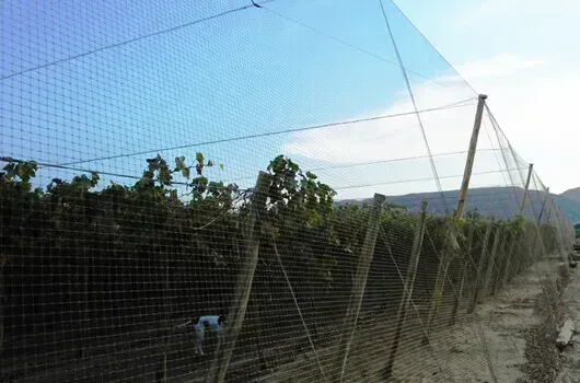 Heavy Duty Crop Protection Netting