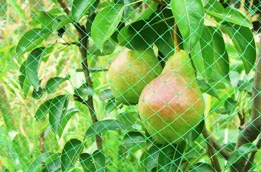 Light Duty Crop Protection Netting